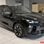 CUPRA TERRAMAR 1.5 HYBRID 150 CV DSG USATO