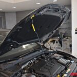 VOLKSWAGEN GOLF 8.5 DIESEL 2.0 TDI 150 CV DSG LIFE GOAL EDITION USATO