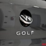 VOLKSWAGEN GOLF 8.5 DIESEL 2.0 TDI 150 CV DSG LIFE GOAL EDITION USATA