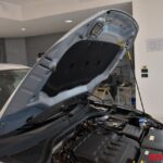 VOLKSWAGEN T-ROC DIESEL 1.6 TDI SCR 116 CV BUSINESS USATA