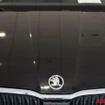 SKODA SCALA 1.6 DIESEL TDI 116 CV DSG AMBITION USATA