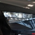 SKODA SCALA 1.6 DIESEL TDI 116 CV DSG AMBITION USATA