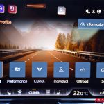 CUPRA NEW FORMENTOR VZ EXTREME 333 CV DSG 4DRIVE USATA