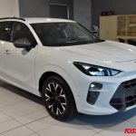 CUPRA TERRAMAR 1.5 HYBRID 150 CV DSG USATA