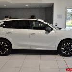 CUPRA TERRAMAR 1.5 HYBRID 150 CV DSG USATA