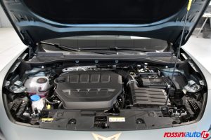 CUPRA FORMENTOR 2.0 TSI 333 CV DSG 4DRIVE VZ EXTREME USATA