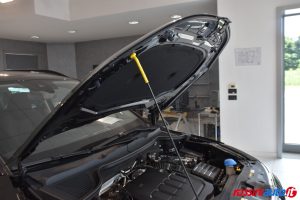 SKODA KAROQ DIESEL 2.0 TDI 116 CV DSG EXECUTIVE USATO