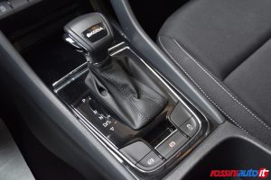 SKODA KAROQ DIESEL 2.0 TDI 116 CV DSG EXECUTIVE USATO