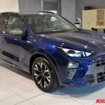 CUPRA TERRAMAR 1.5 HYBRID 150 CV DSG USATA