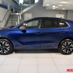 CUPRA TERRAMAR 1.5 HYBRID 150 CV DSG USATA