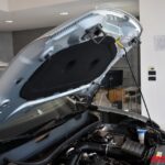 VOLKSWAGEN T-CROSS 1.0 TSI 110 CV ADVANCED USATA